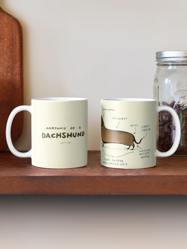 Celebrate the charm of dachshunds with the Anatomy of a Dachshund Coffee Mug—a must-have for sausage dog lovers! - www.lacoo.eu