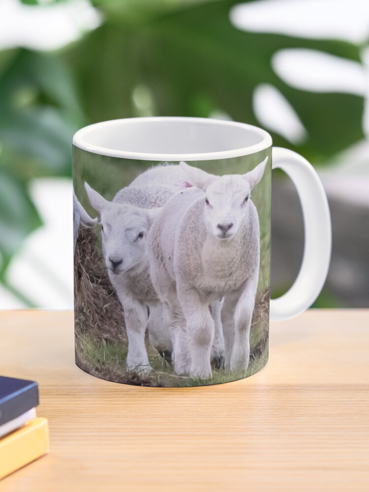 spring lambs Coffee Mug - Image 5
